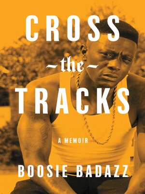 cover image of Cross the Tracks